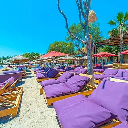 فندق Alexander The Great & 3*
