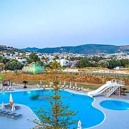 Alexander The Great & 3* غومْبيت